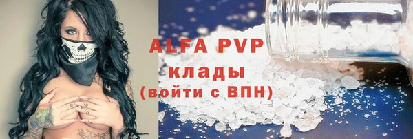 стаф Белоозёрский