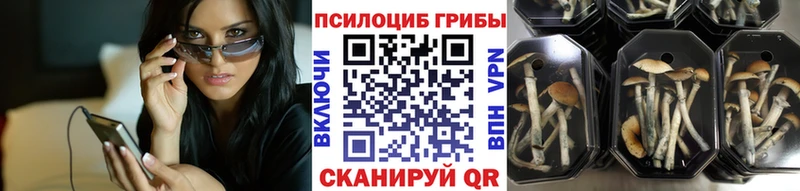 Галлюциногенные грибы Magic Shrooms  хочу   Воркута 